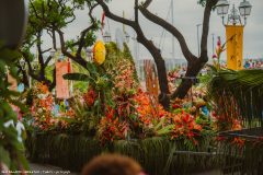 DSC3537