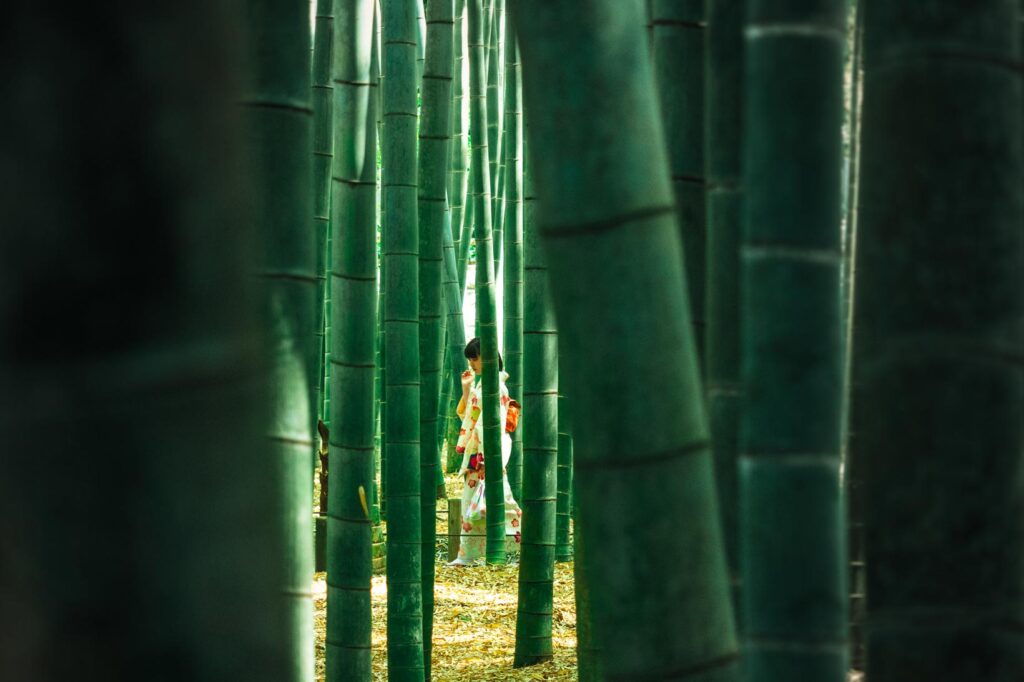 34429278420_22e0257740_o